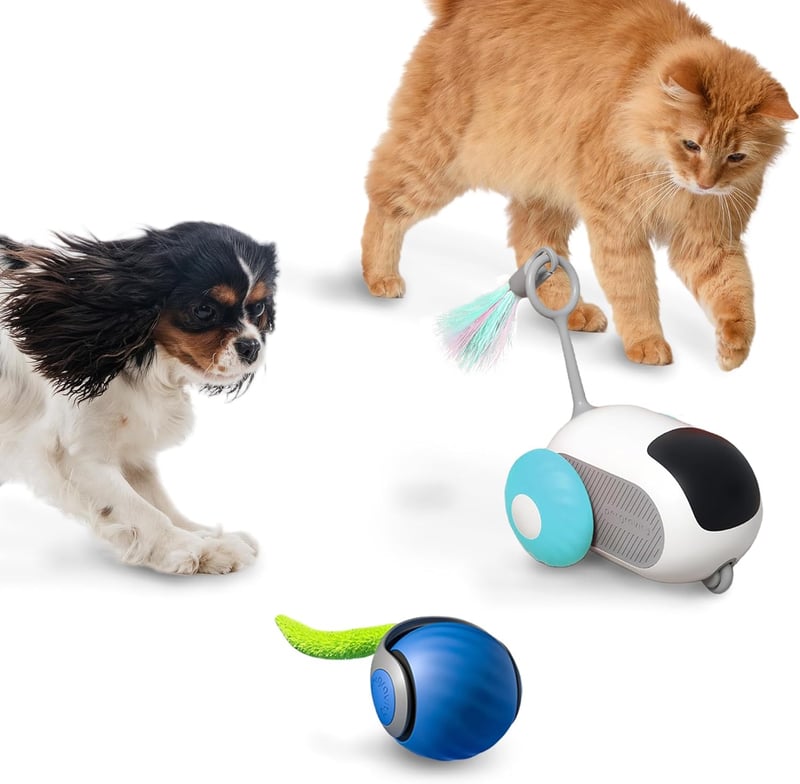 Interactive Remote Control Cat Toy Set with Feather Ball (Blue)