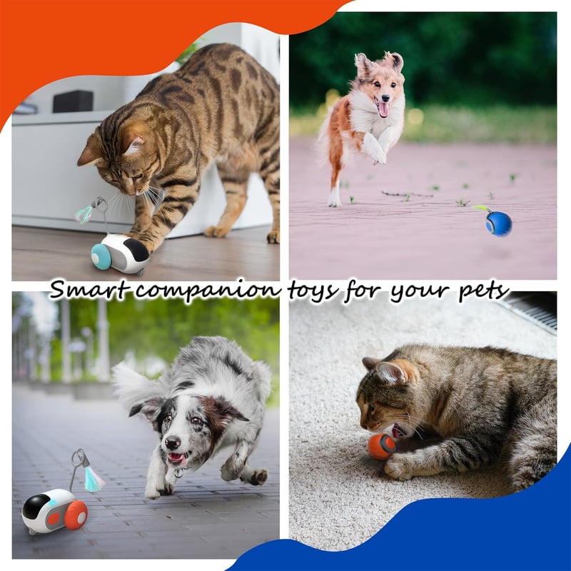 Interactive Remote Control Cat Toy Set with Feather Ball (Blue)