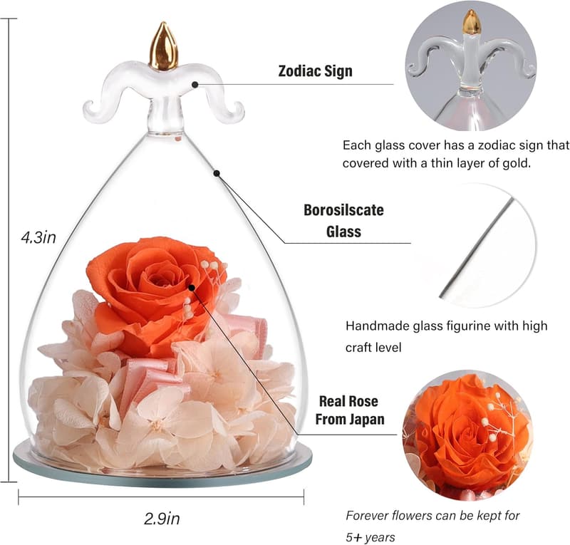 Sagittarius Eternal Rose Gift for Women - Birthday & Valentine's Day