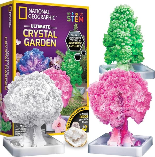 Crystal Growing Kit for Kids - Educational STEM Craft Ages 8-12