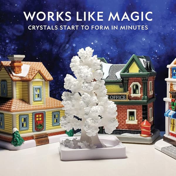 Crystal Growing Kit for Kids - Educational STEM Craft Ages 8-12