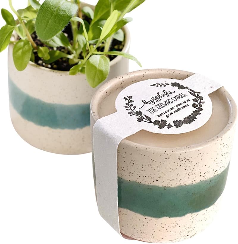 Lavender Scented Growing Candle - 100% Soy Wax Aromatherapy Gift