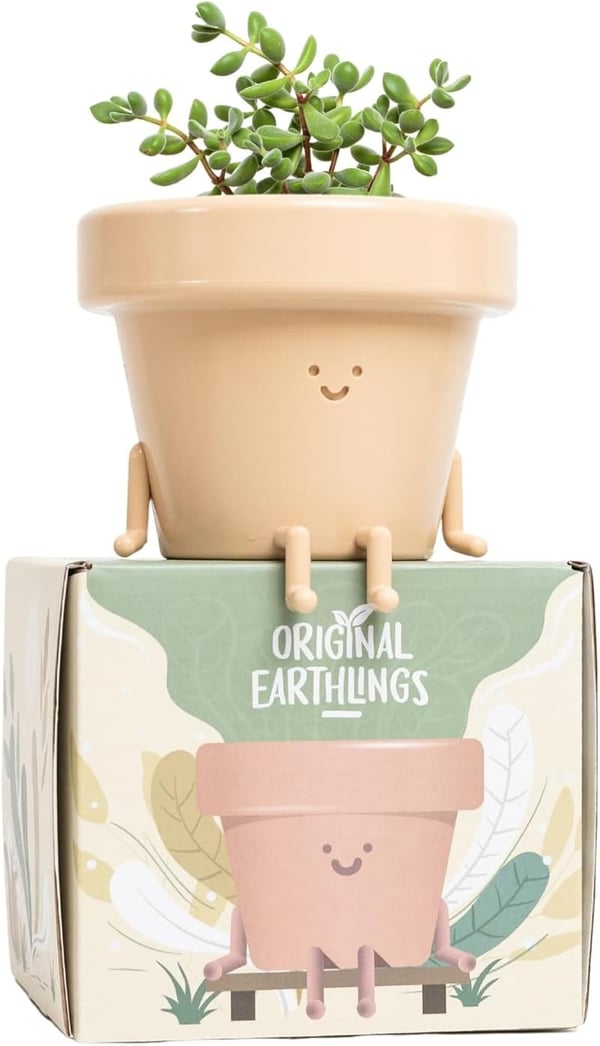 Cute Succulent Face Planter - 3.5