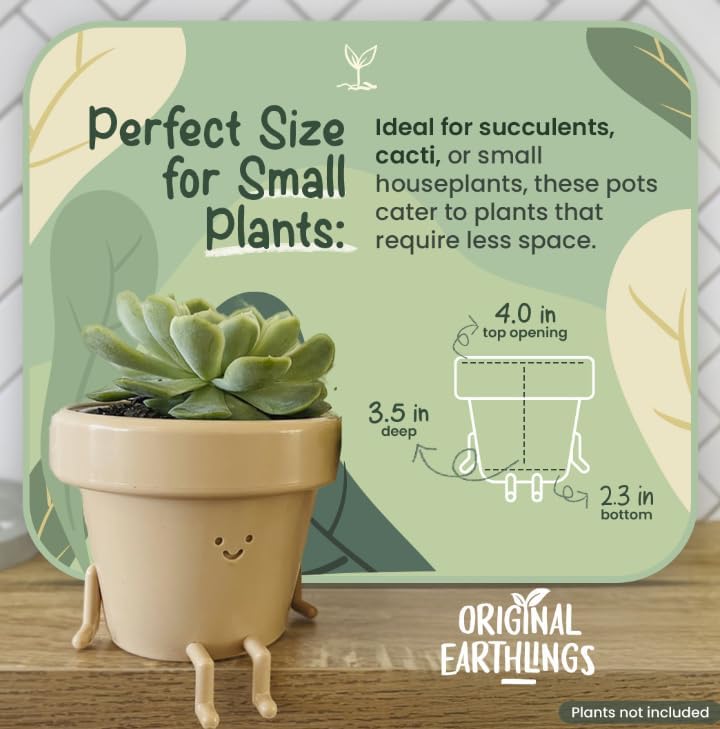 Cute Succulent Face Planter - 3.5