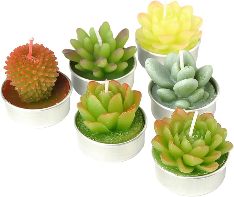 Handmade Succulent Cactus Tealight Candles for Parties & Decor