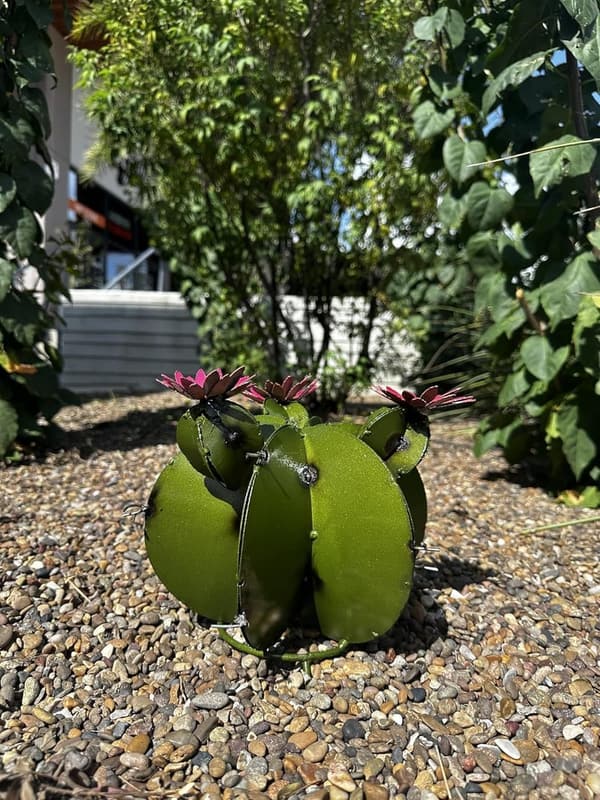 Olive Metal Bisnaga Cactus - Unique Garden Art Decor