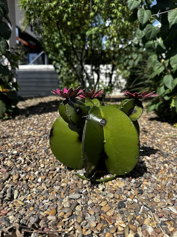 Olive Metal Bisnaga Cactus - Unique Garden Art Decor