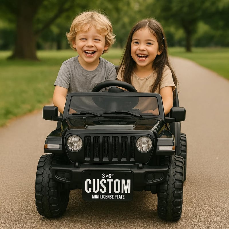 Personalized Mini License Plates for Kids' Toys (3x6 Inch)