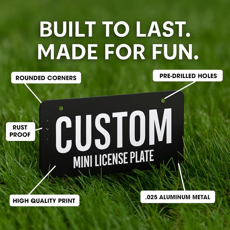 Personalized Mini License Plates for Kids' Toys (3x6 Inch)