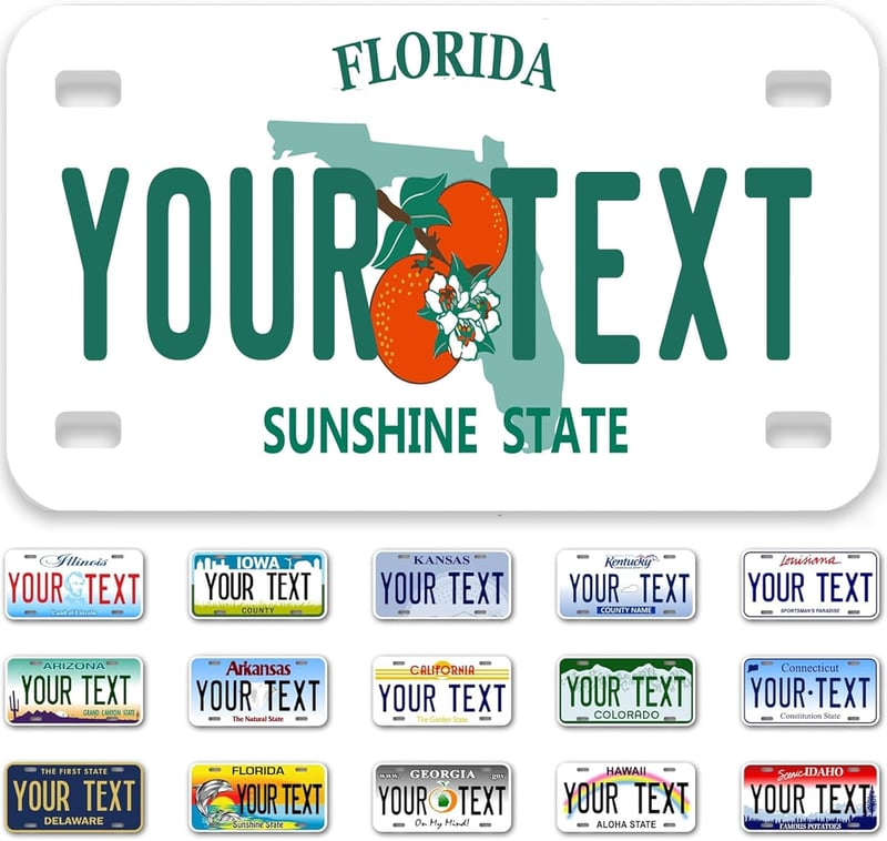 Personalized License Plate, 7x4 Inches, Rust-Free, 50 States Option