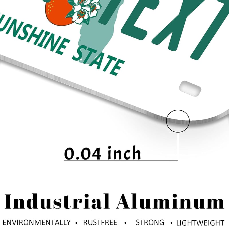 Personalized License Plate, 7x4 Inches, Rust-Free, 50 States Option