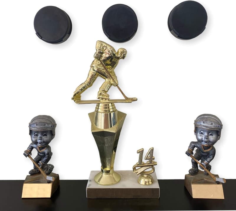 Hockey Puck Wall Mount Display Case | Sports Decor Gift