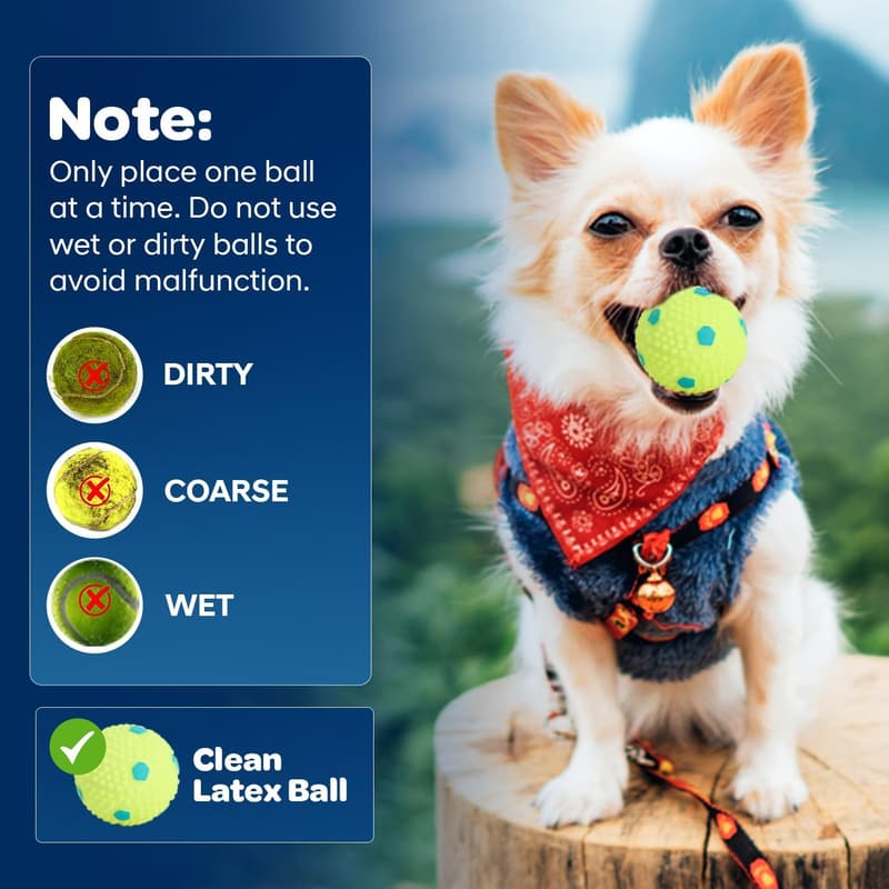 Interactive Dog Ball Launcher with Remote Control & 6 Latex Balls