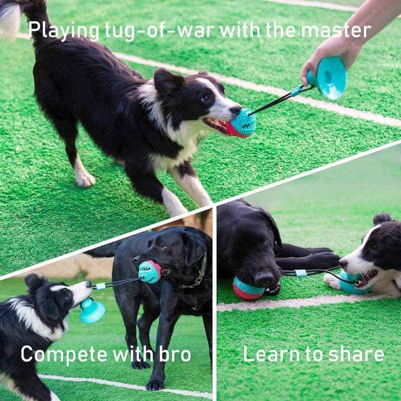 Interactive Dog Puzzle Treat Dispensing Ball for Puppies and Small Dogs