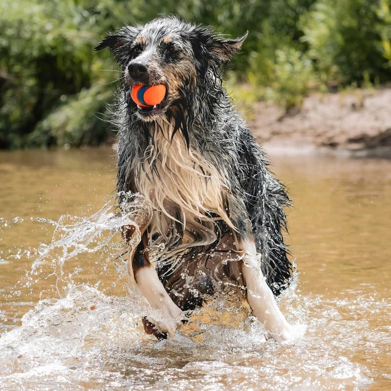 Large Ultra Ball Dog Toy - Durable Rubber, Bouncy, Floats - For Dogs 60-100 lbs