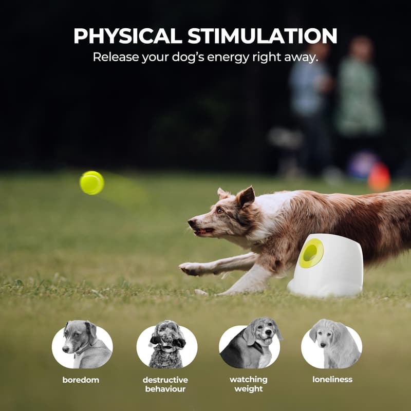 Automatic Dog Ball Launcher for Medium to Large Dogs
