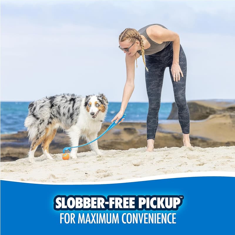 Chuckit! Pro 26