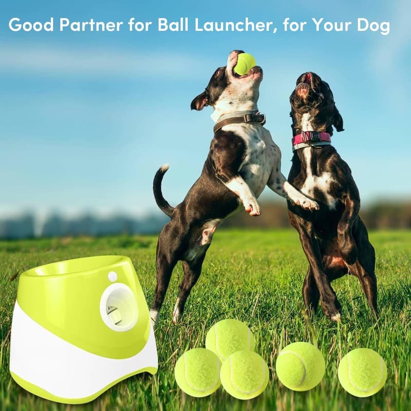 2-Inch Dog Tennis Balls - 6 Pack for Easy Fetch Play