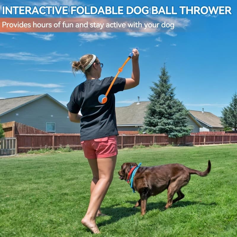 Interactive Foldable Dog Ball Launcher with Medium Ball