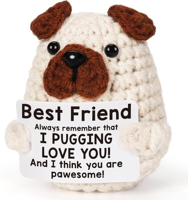 Best Friend Birthday Gift: Funny Puppy Doll & Mini Basket