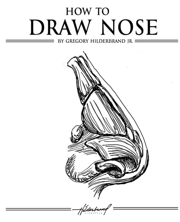 Drawing Guide: Easy Techniques for Noses and More