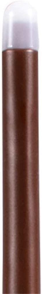Harry Potter Light-Up Wand Costume Accessory, 13.5 Inch