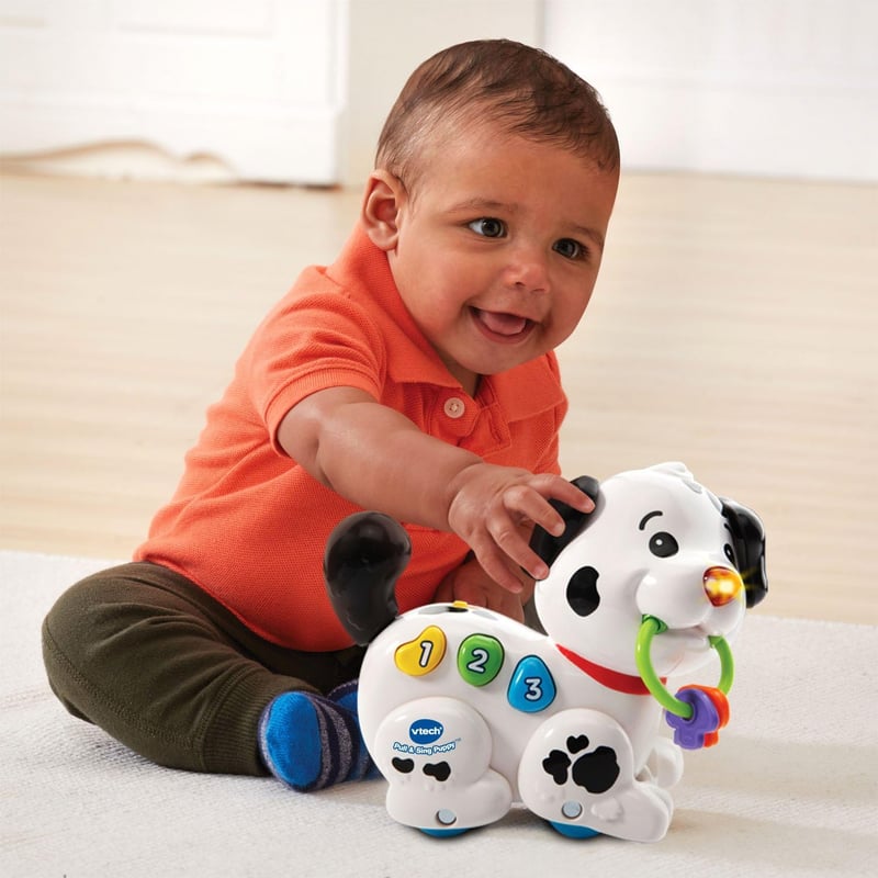 VTech Pull and Sing Puppy Toy for Infants