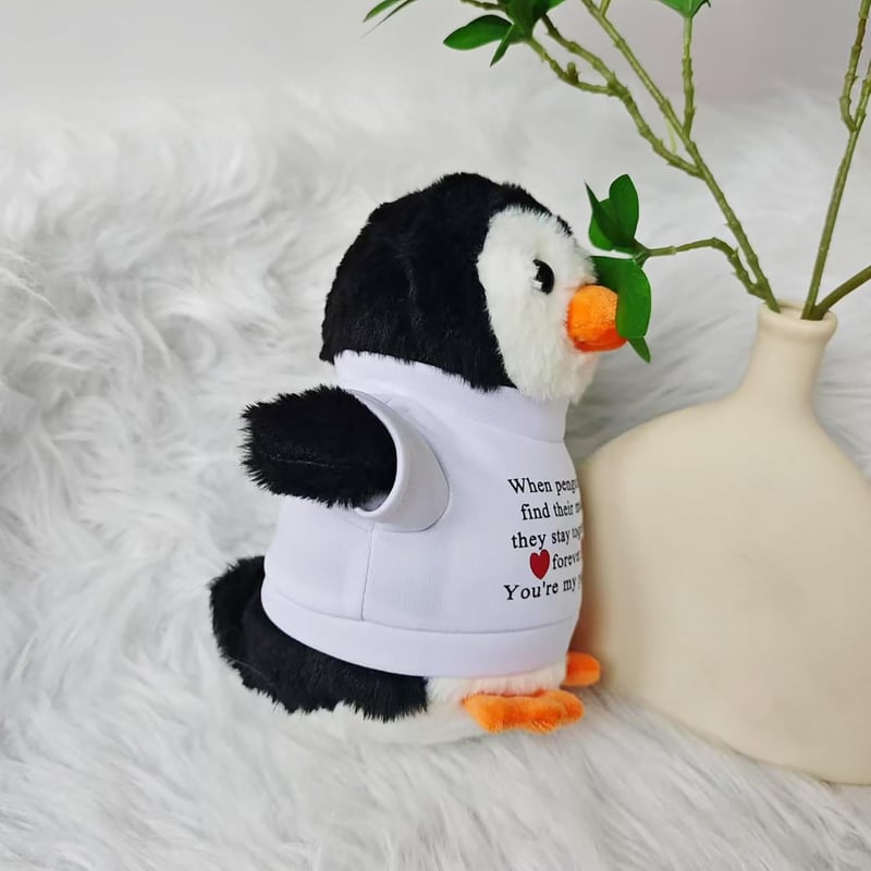 Anniversary Plush Gift for Couples - 