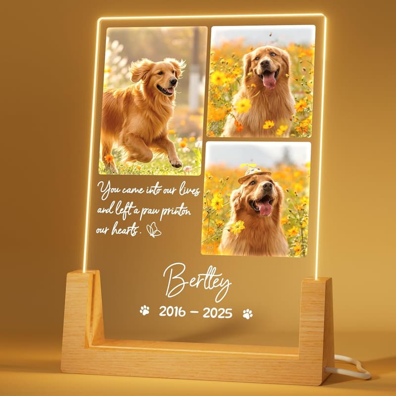 Custom Pet Memorial Night Light for Dog Loss