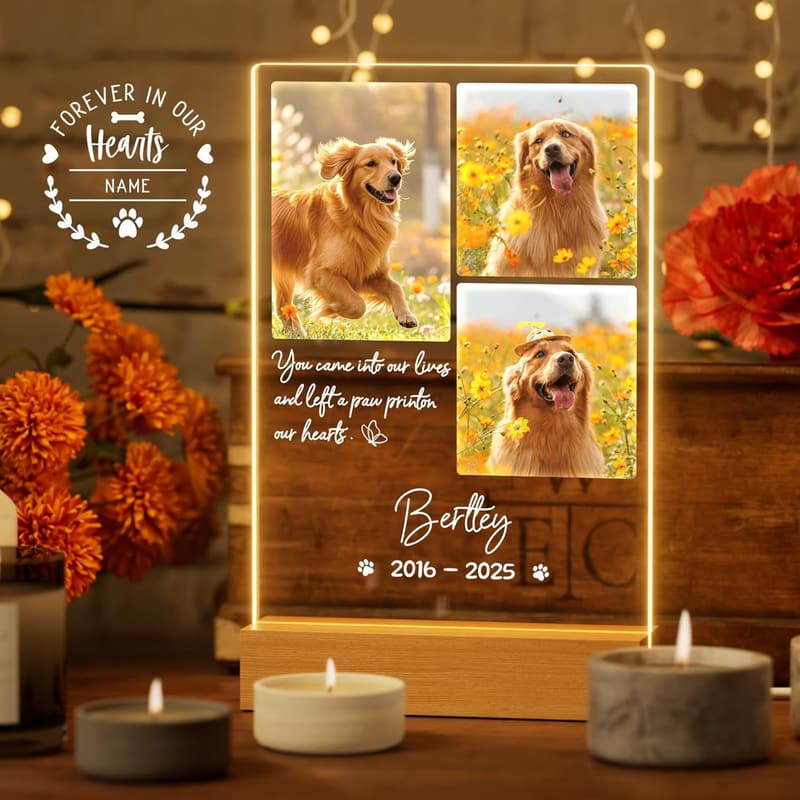 Custom Pet Memorial Night Light for Dog Loss