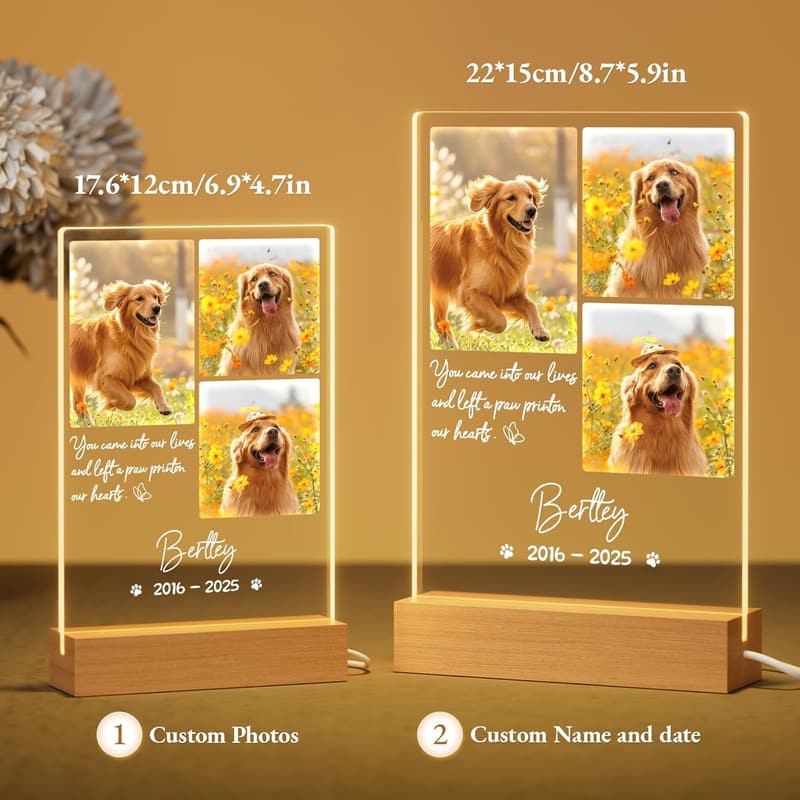 Custom Pet Memorial Night Light for Dog Loss
