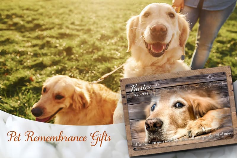 Pet Memorial Metal Print on Rustic Wood Frame – Personalized Gift