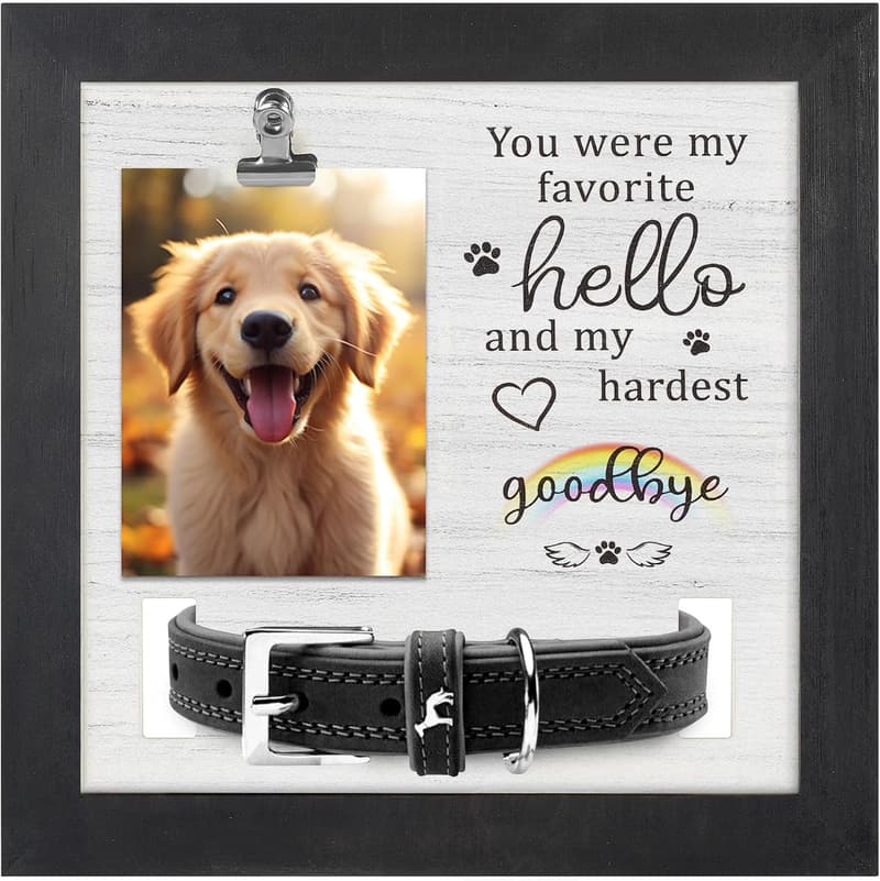 Pet Memorial Frame with Collar Holder - Dog Loss Gift