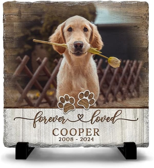 Personalized Pet Memorial Stone - Custom Tribute for Dogs