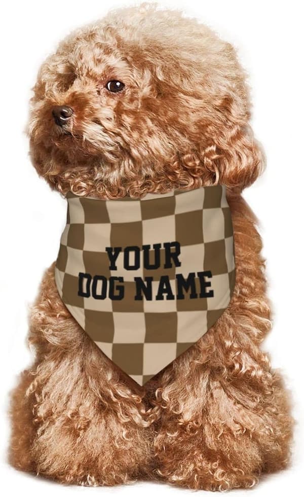 Custom Pet Bandana - Personalized Dog Birthday Gift