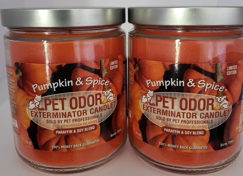 Pumpkin Spice Pet Odor Exterminator Candles - 2 Pack