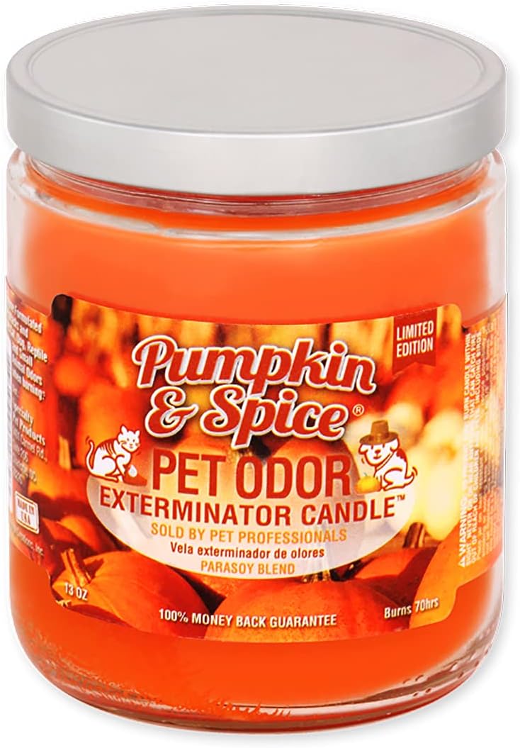 Pumpkin Spice Candle