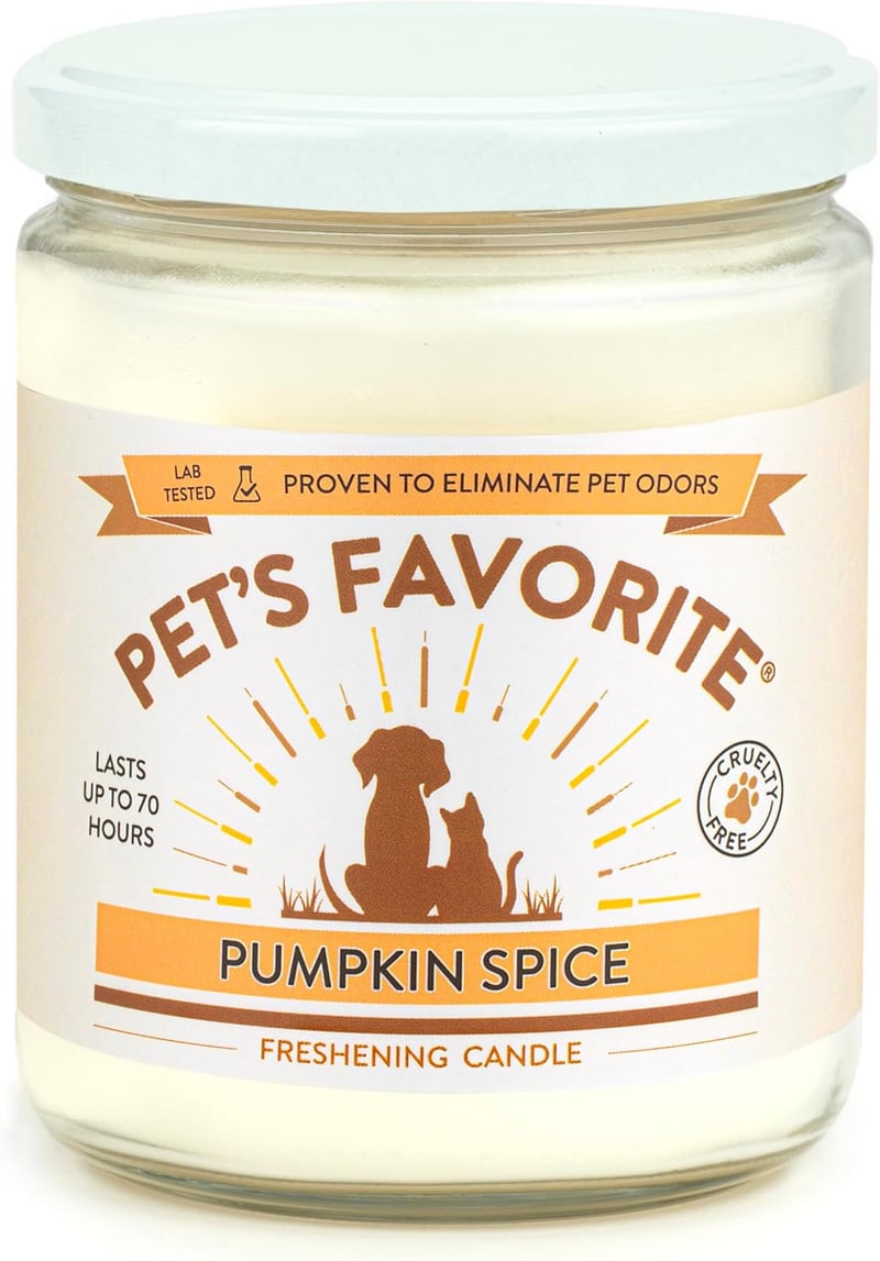Pet-Friendly Odor Eliminating Candle - 70-Hour Burn Time, Pumpkin Spice