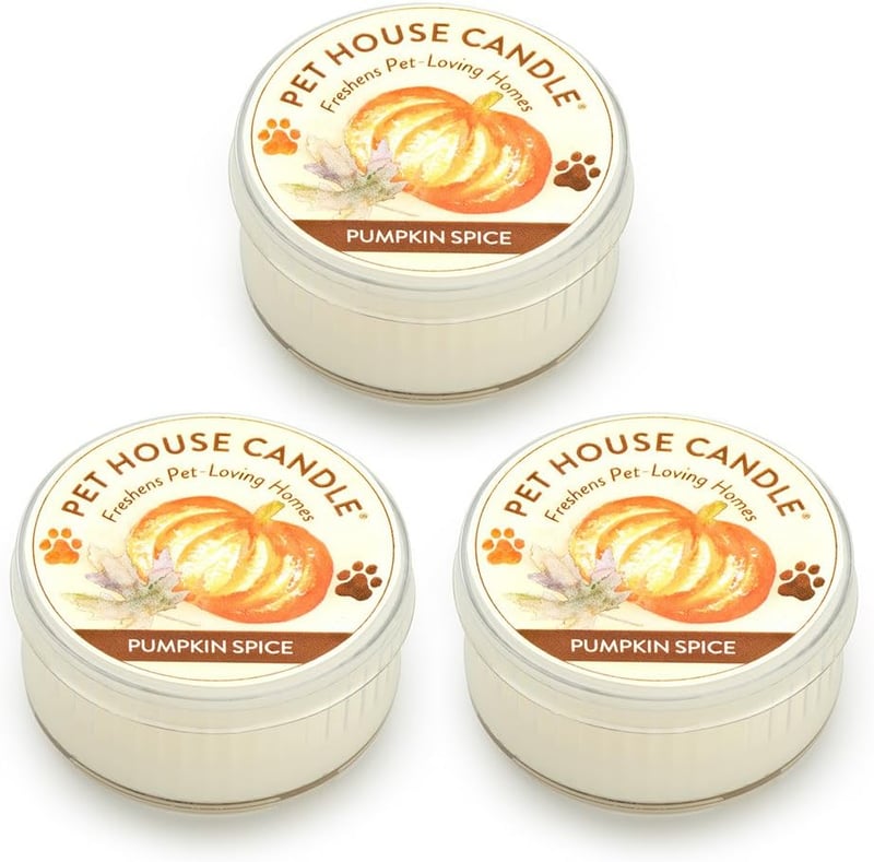 Mini Pumpkin Spice Pet Candles - Natural Soy Wax, Pack of 3