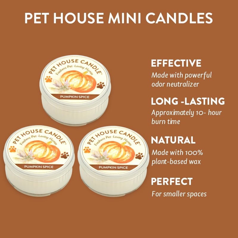 Mini Pumpkin Spice Pet Candles - Natural Soy Wax, Pack of 3