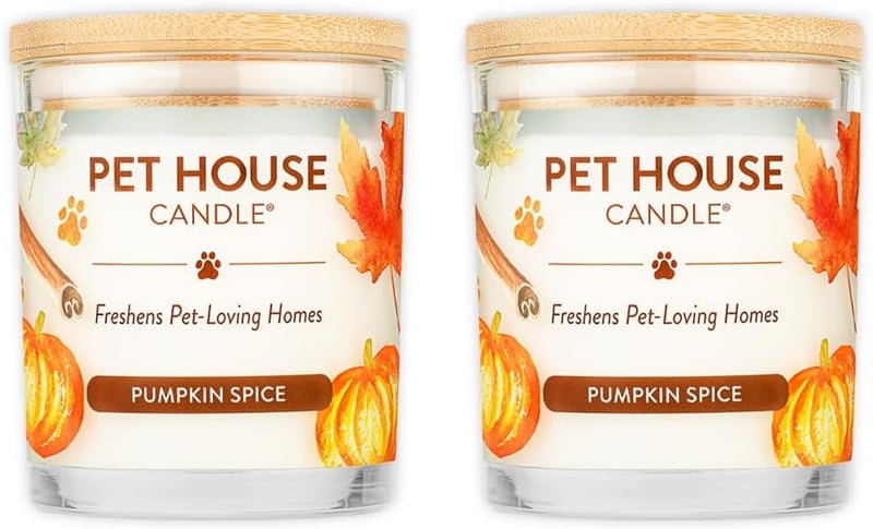Pumpkin Pie Scented Candle 2-Pack - Plant-Based Soy, Odor Eliminating