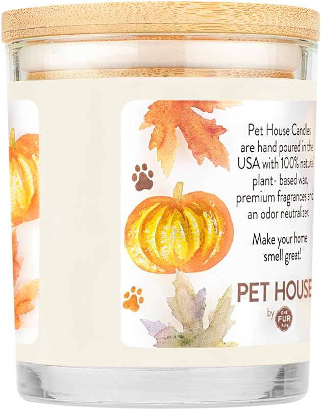 Pumpkin Pie Scented Candle 2-Pack - Plant-Based Soy, Odor Eliminating