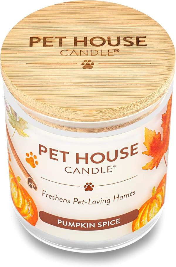 Pumpkin Pie Scented Candle 2-Pack - Plant-Based Soy, Odor Eliminating