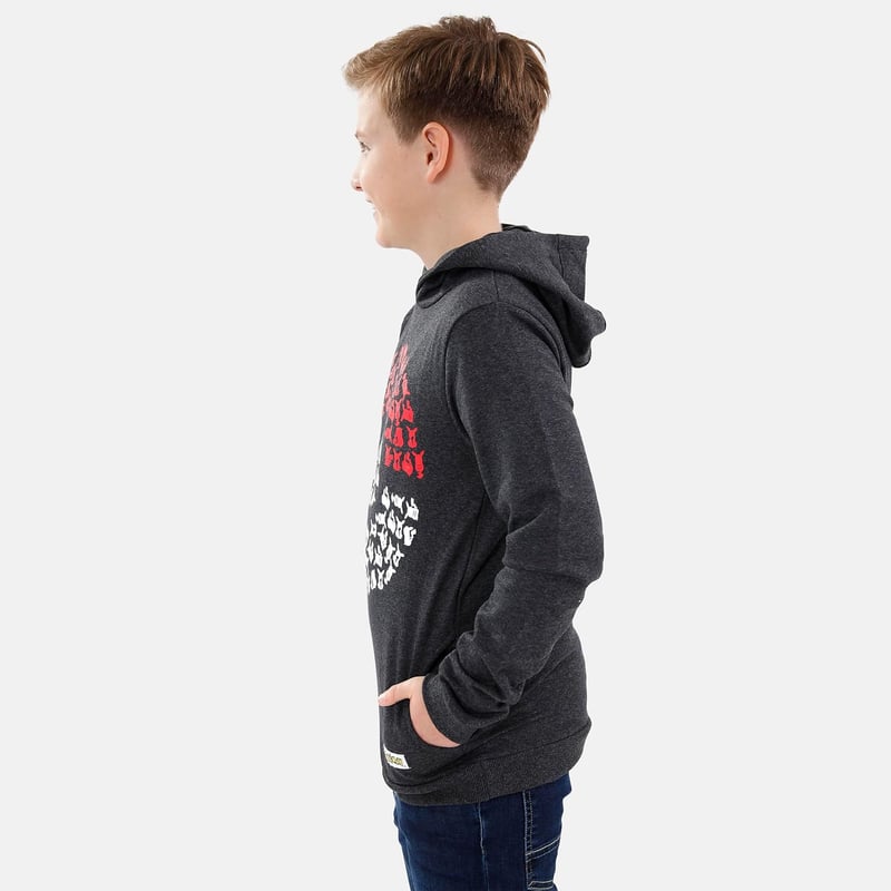 Pokémon Hoodie for Boys with Pokeball Design