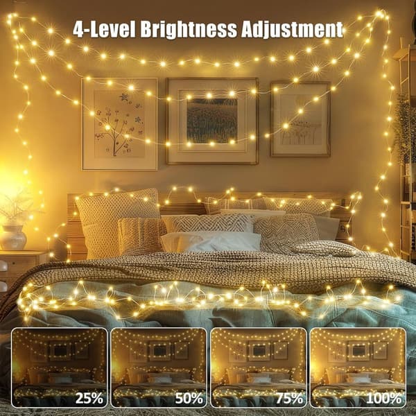 100FT RGB Color-Changing Fairy Lights with Remote