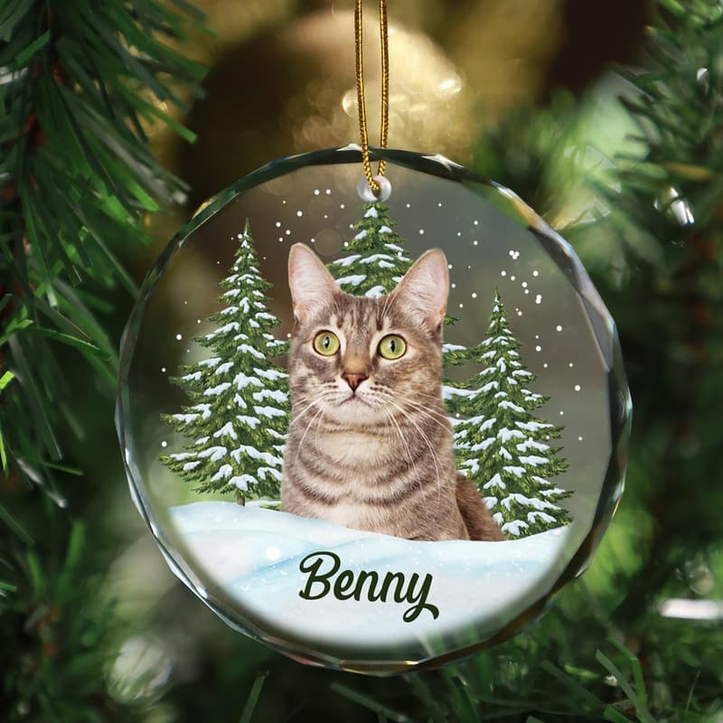 Personalized Circle Glass Ornament for Pet Memorial