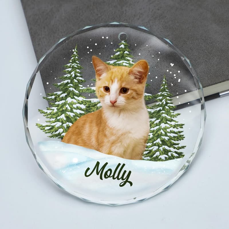Personalized Circle Glass Ornament for Pet Memorial