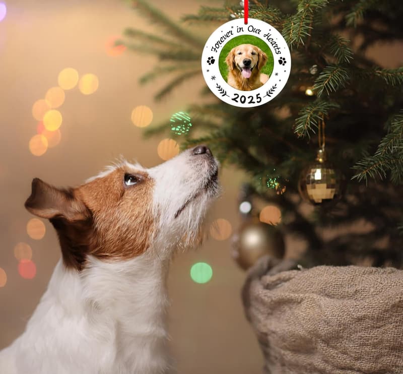 Pet Memorial Christmas Ornaments - Forever in Our Hearts