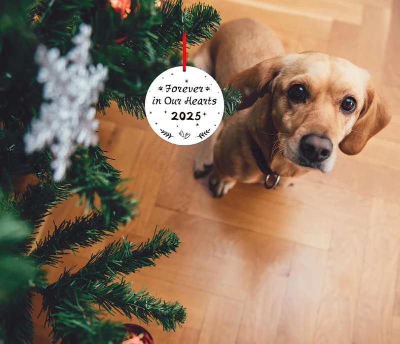 Pet Memorial Christmas Ornaments - Forever in Our Hearts