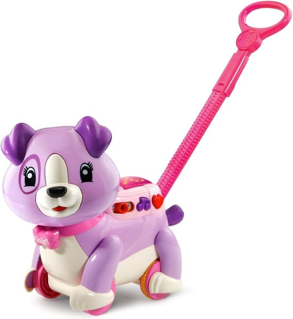 LeapFrog Violet Step and Learn Toy